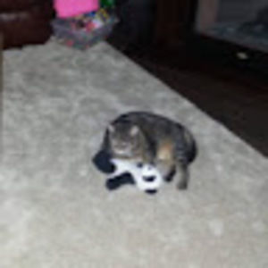 Meet your Posher, Ash